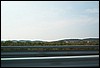 roste944.jpg