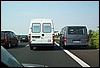 roste952.jpg