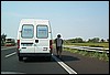 roste953.jpg