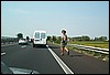 roste954.jpg