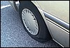 roste959.jpg
