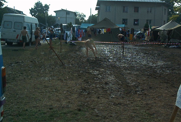 rost4563.jpg