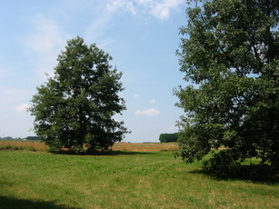 EN013.jpg