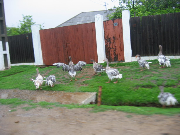 EN028.jpg