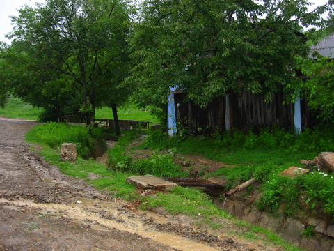 EN035.jpg