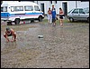EN119.jpg