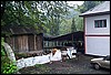 rost4050.jpg