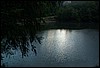 rost4064.jpg