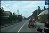 rost4202.jpg