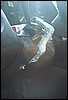 rost4403.jpg