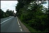 rost4436.jpg