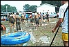 rost4556.jpg
