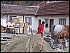 rost018.jpg