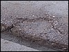 rost315.jpg