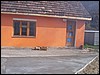 rost356.jpg