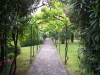 somasca0704