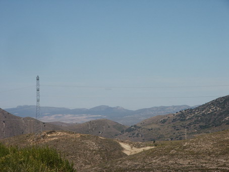 esf6001.jpg