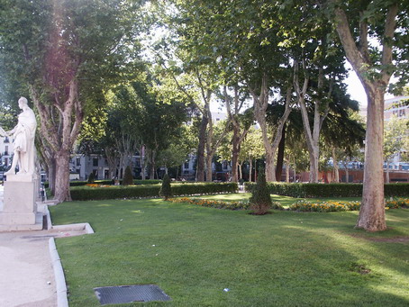 esf6023.jpg