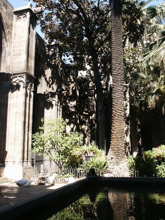 esf6113.jpg