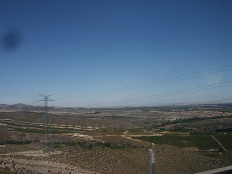 esf6267.jpg
