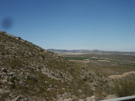 esf6269.jpg