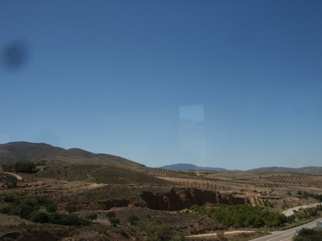 esf6273.jpg
