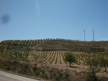 esf6274.jpg