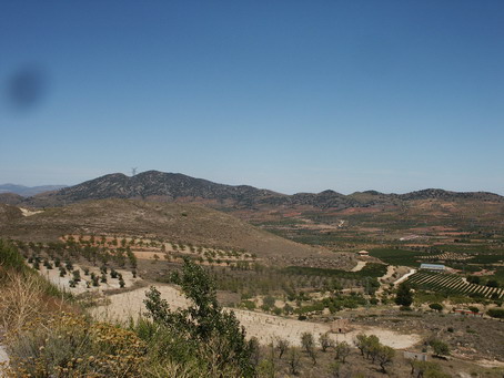 esf6276.jpg