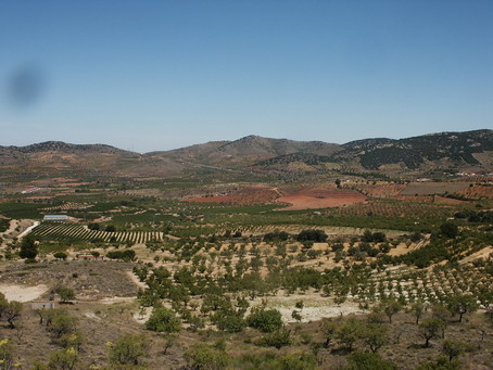 esf6277.jpg