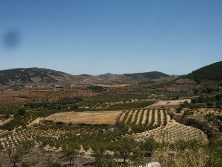 esf6278.jpg