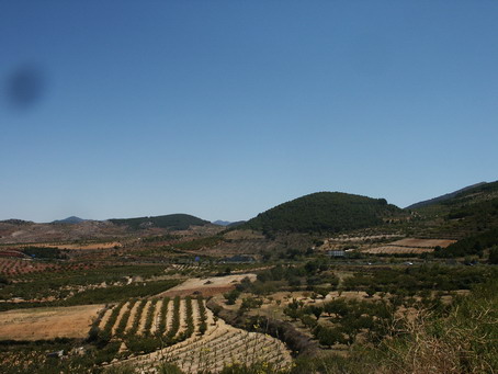 esf6279.jpg