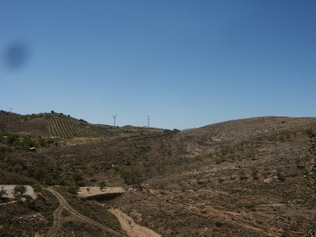esf6281.jpg