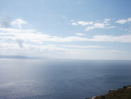 esf6308.jpg