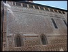 esf6259.jpg