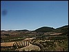esf6279.jpg