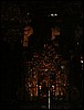 esf6303.jpg