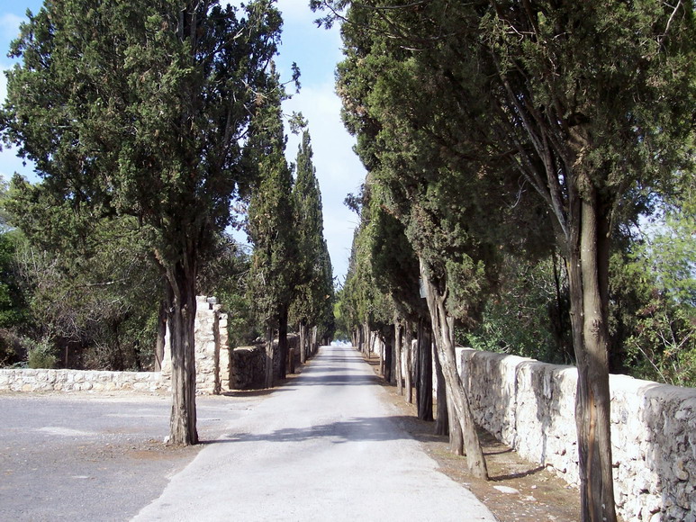 isra067.jpg