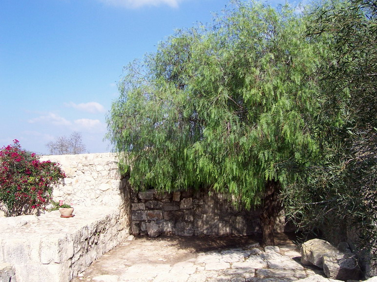 isra091.jpg