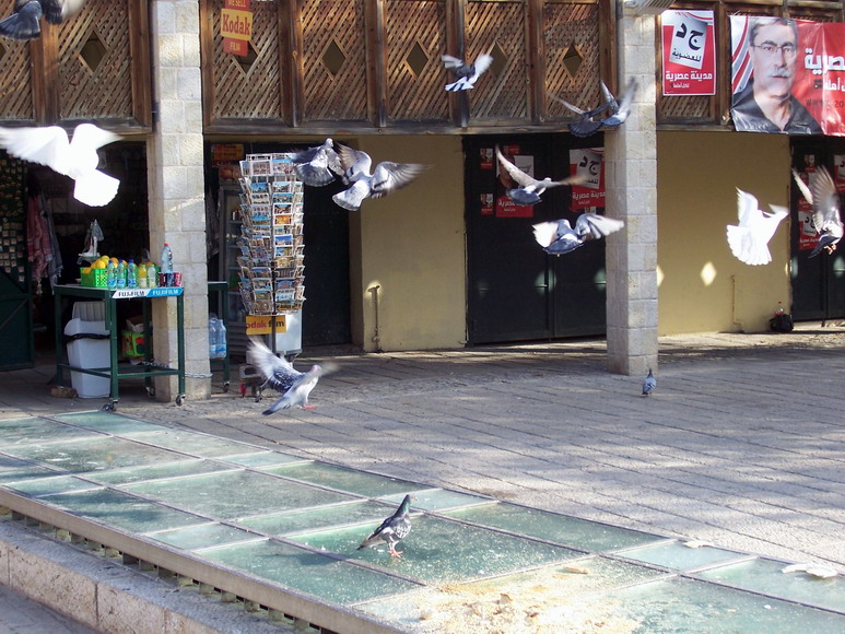 isra100.jpg