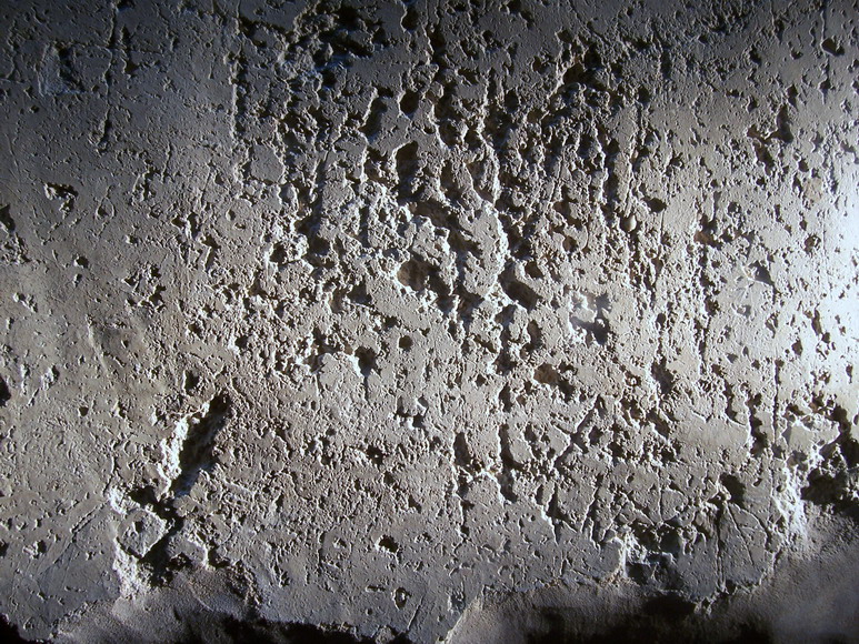 isra120.jpg