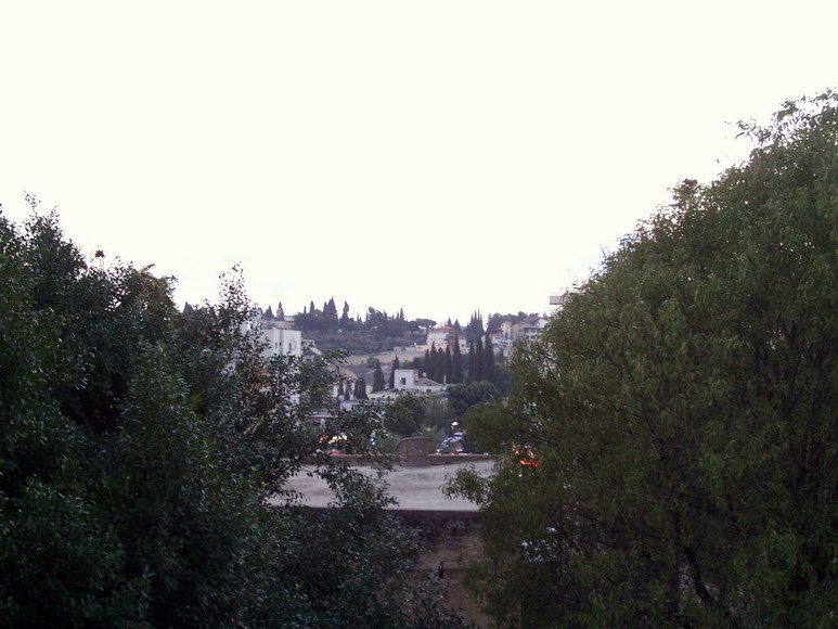 isra161.jpg