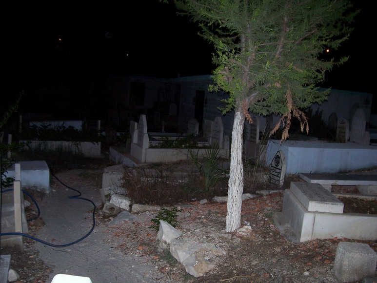 isra177.jpg