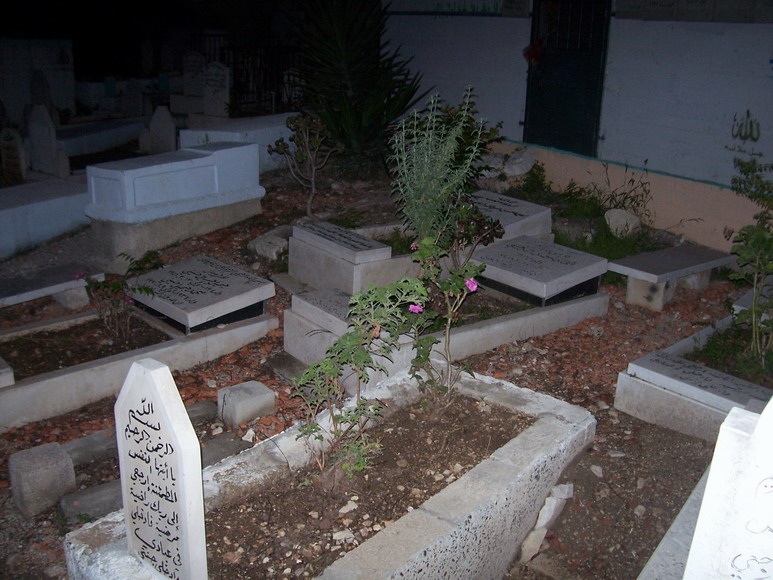 isra178.jpg