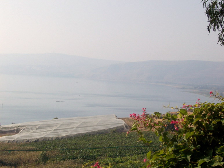 isra186.jpg