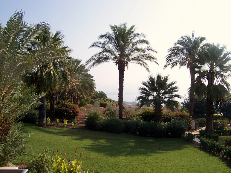 isra196.jpg