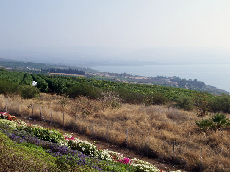 isra199.jpg