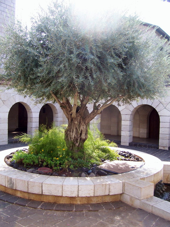 isra203.jpg