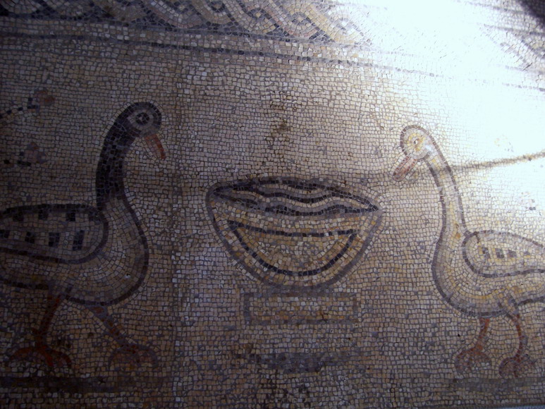 isra206.jpg