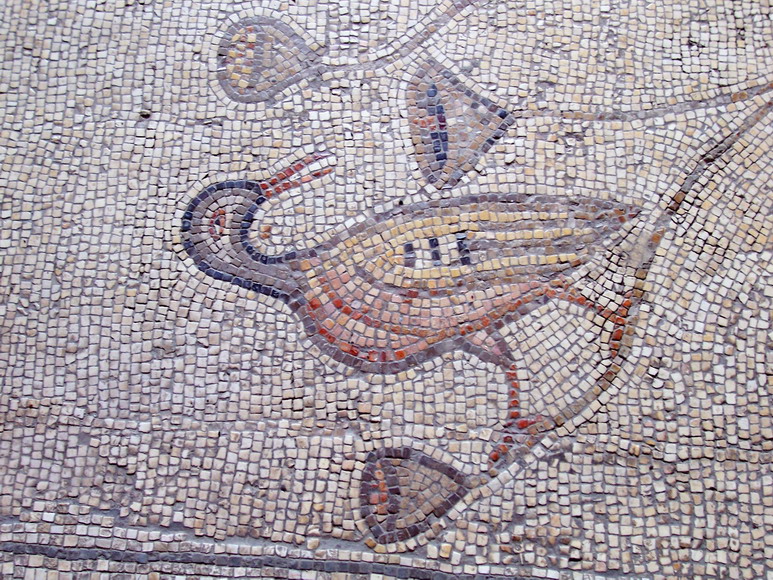 isra215.jpg