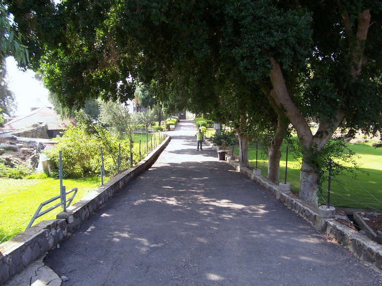 isra220.jpg